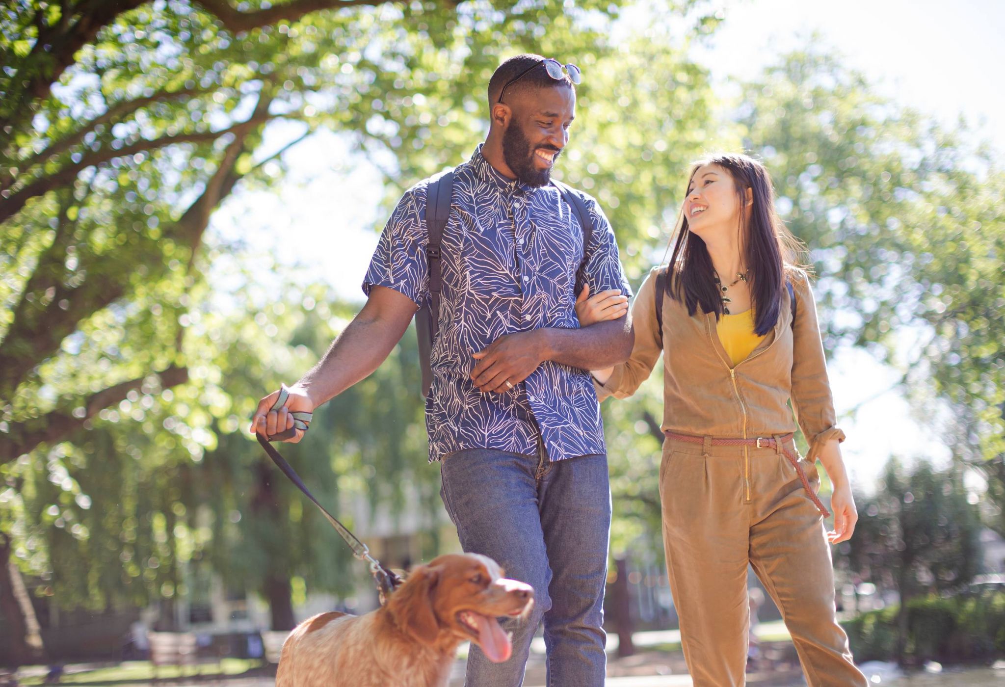 Happy young couple walking dog in a sunny park