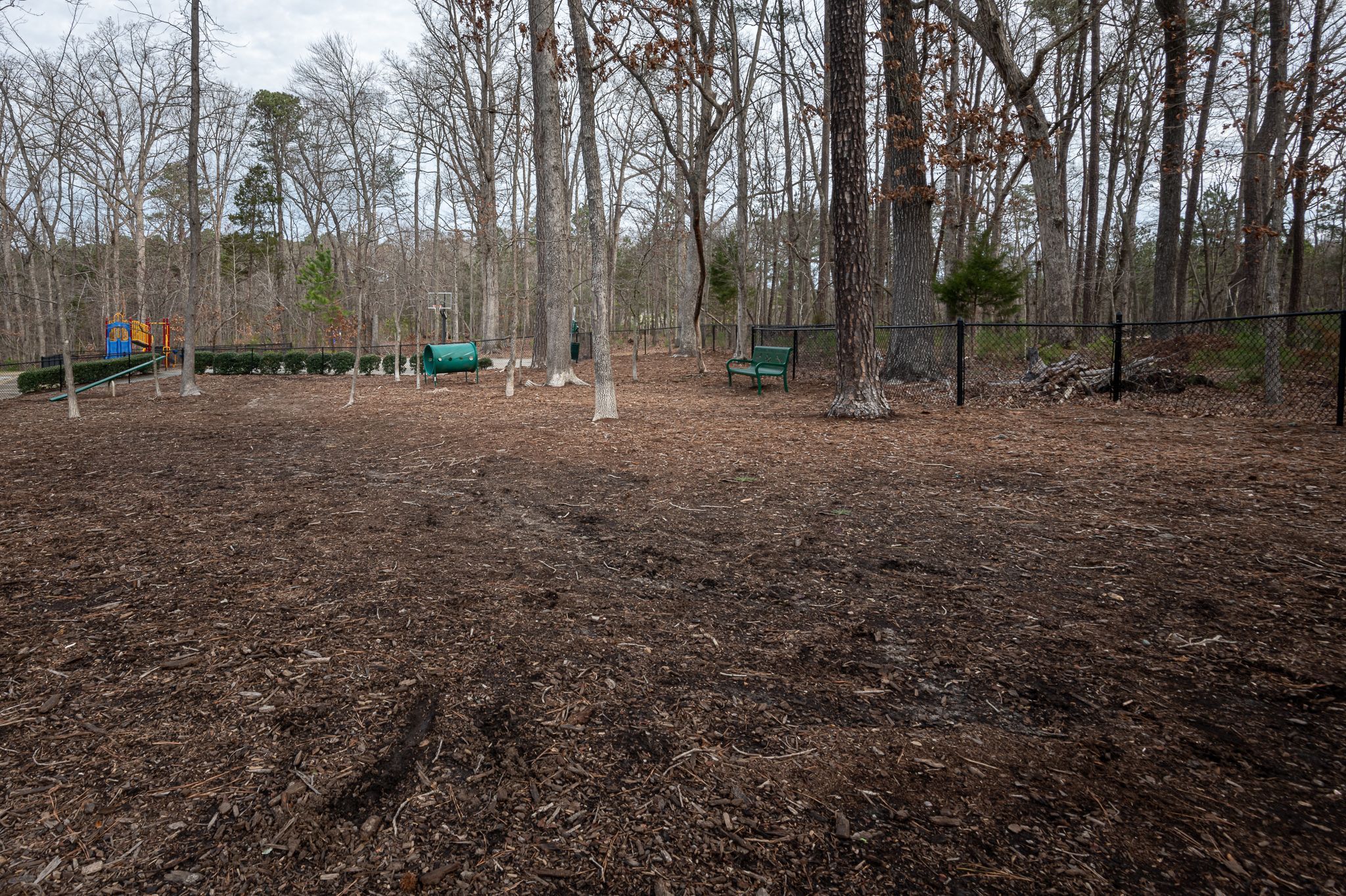 Chapel Hill north apartments resident fenced in dog park in wooded area 