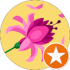 Tita Martines Google Profile Image